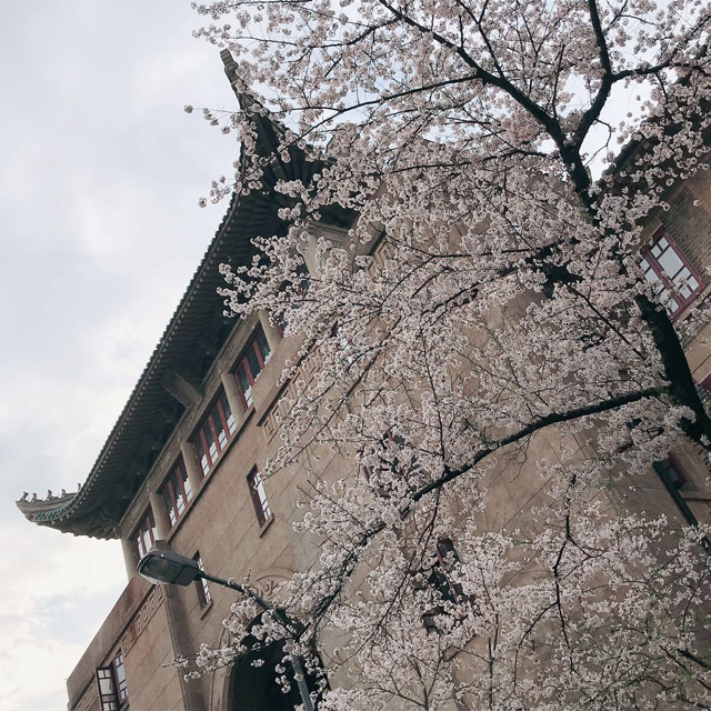 【武漢通信】武漢大学にセメスター留学中の寺川春菜さんからレポートが届いています。