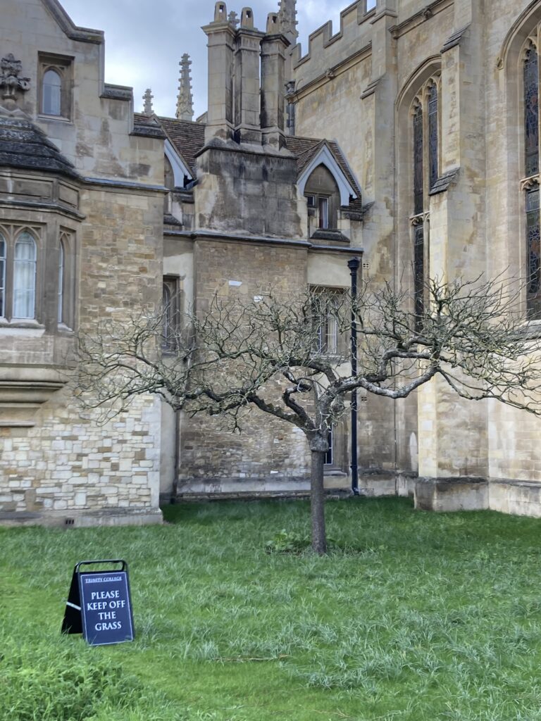 【セメスター留学便り（英語コース） 英国・ケンブリッジ大学】①