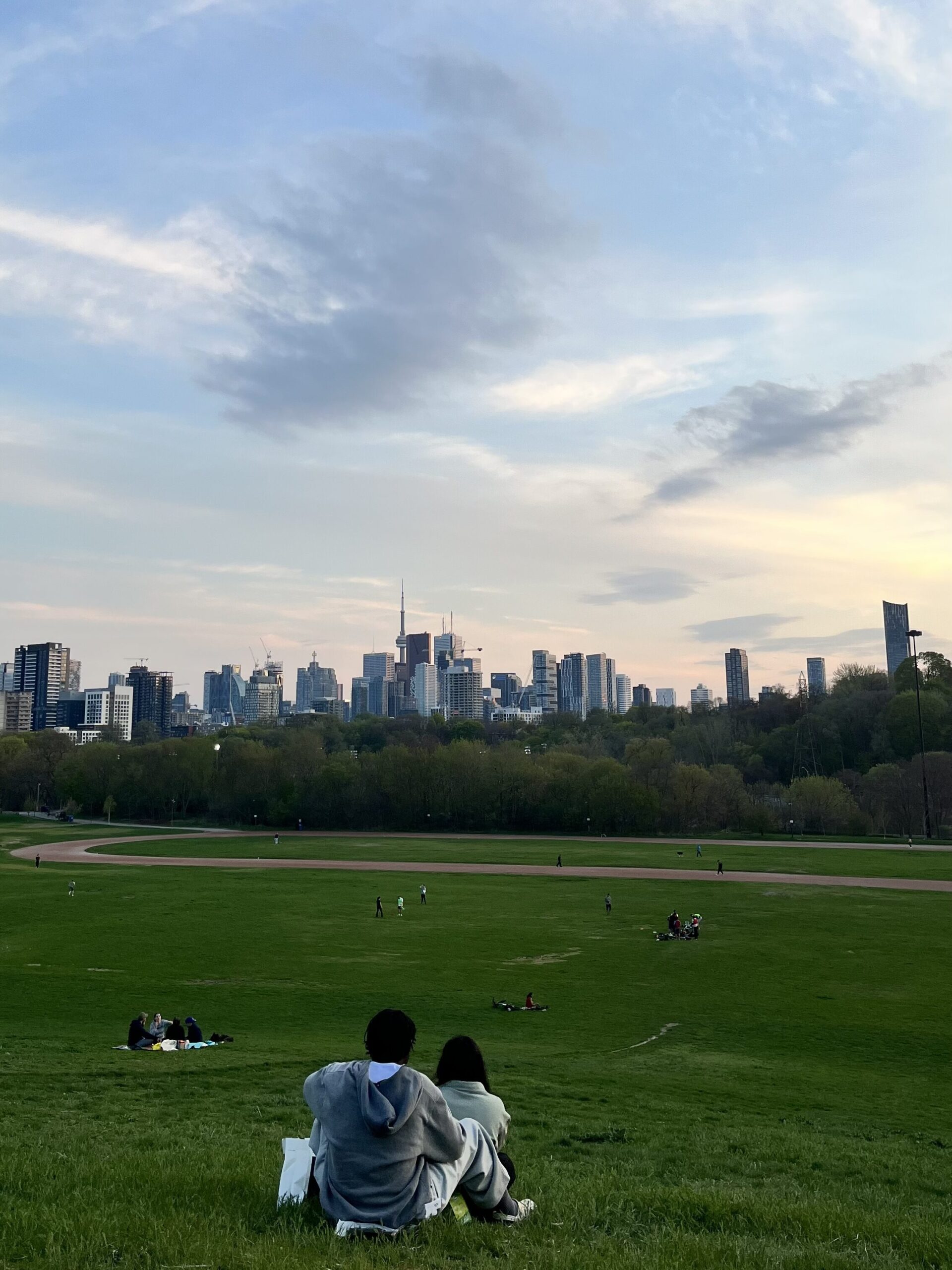 ヨーク大学