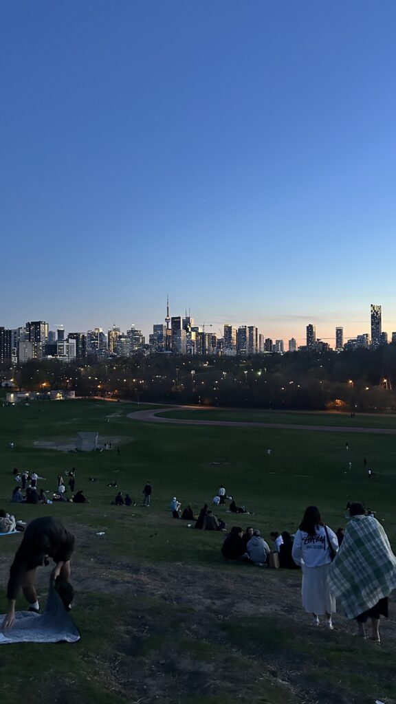 ヨーク大学