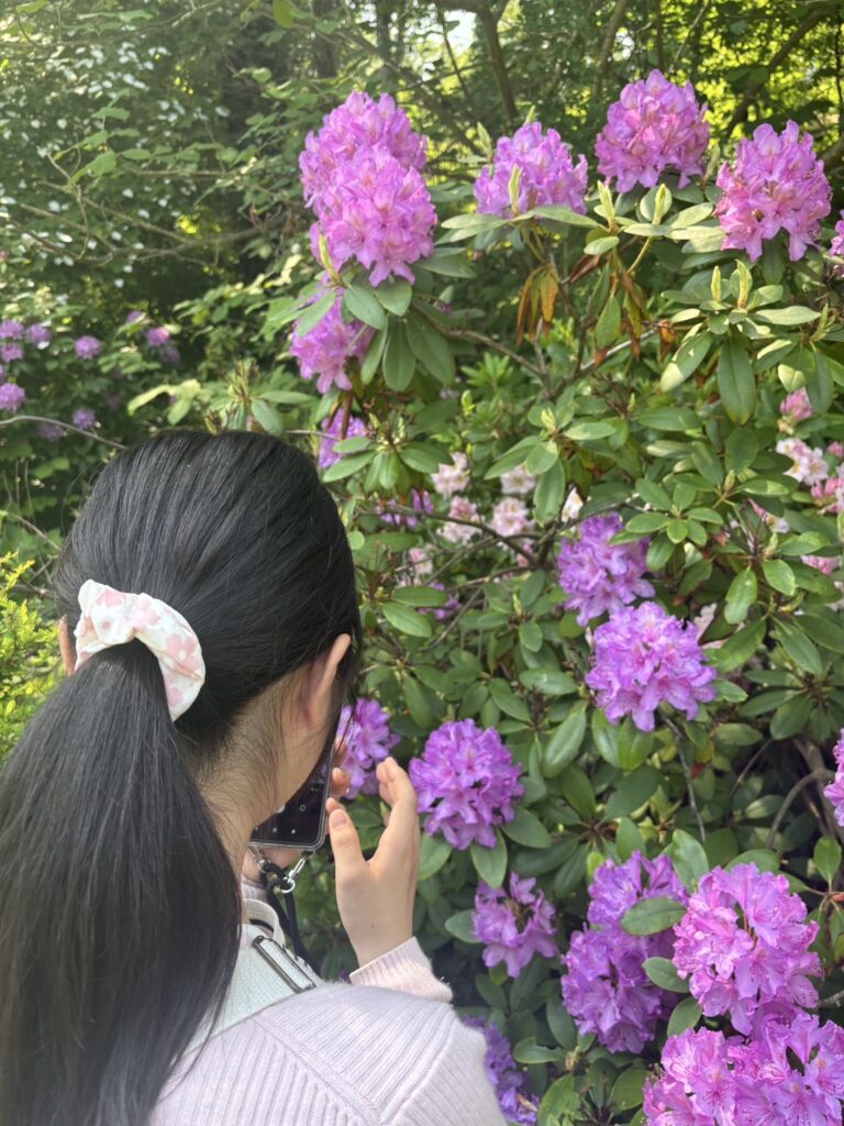 ヨーク大学