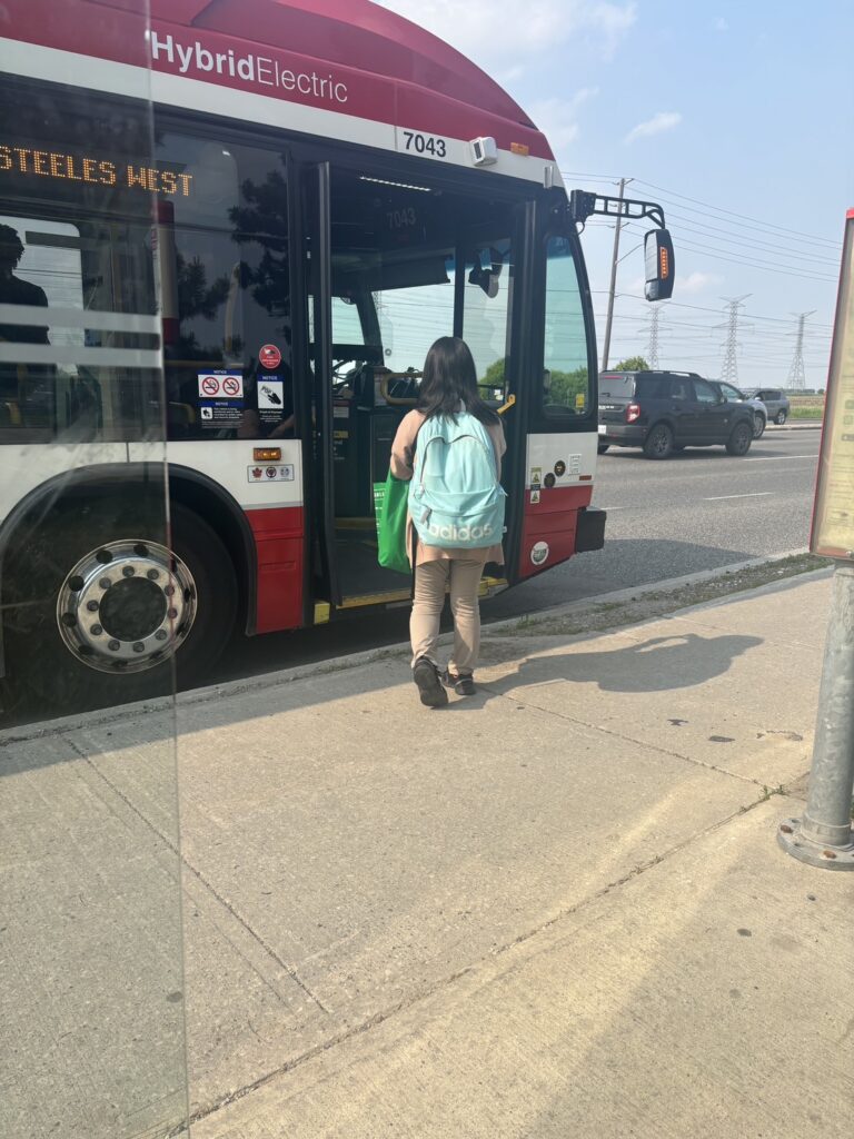 ヨーク大学