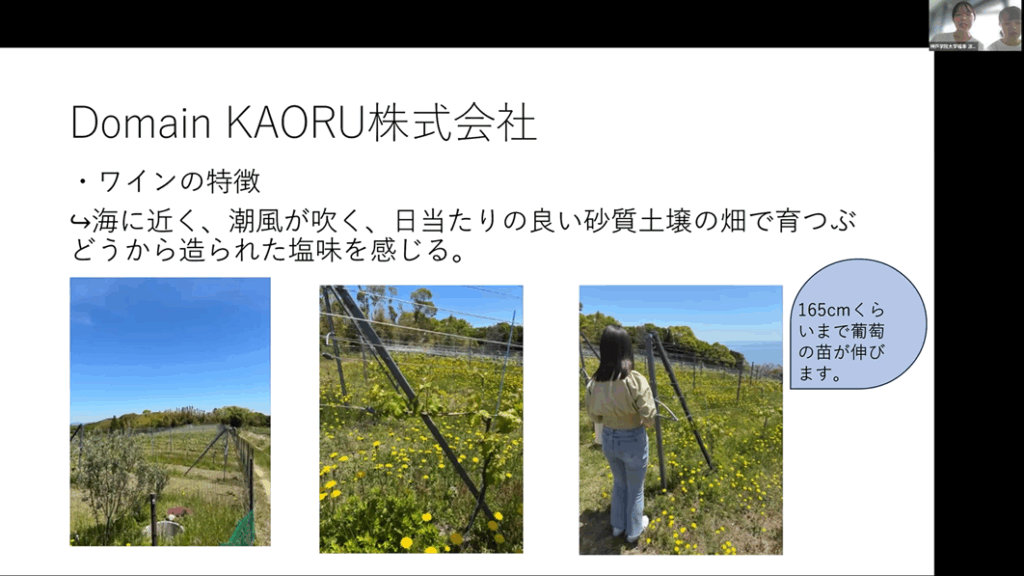 森下ゼミ