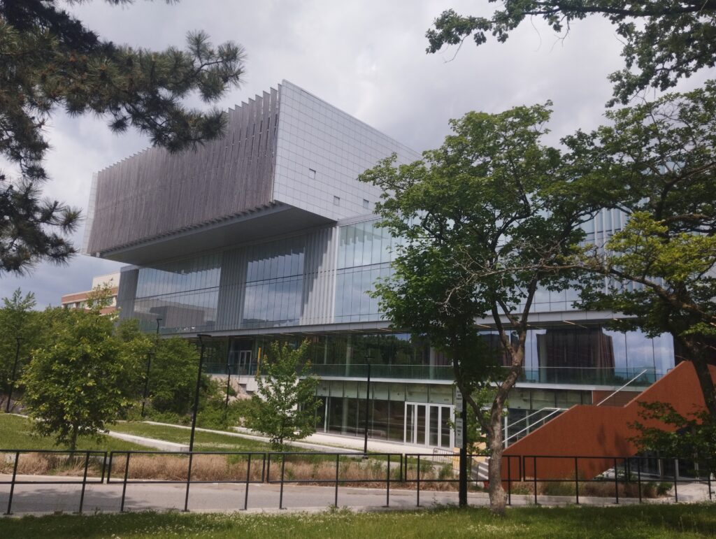 ヨーク大学
